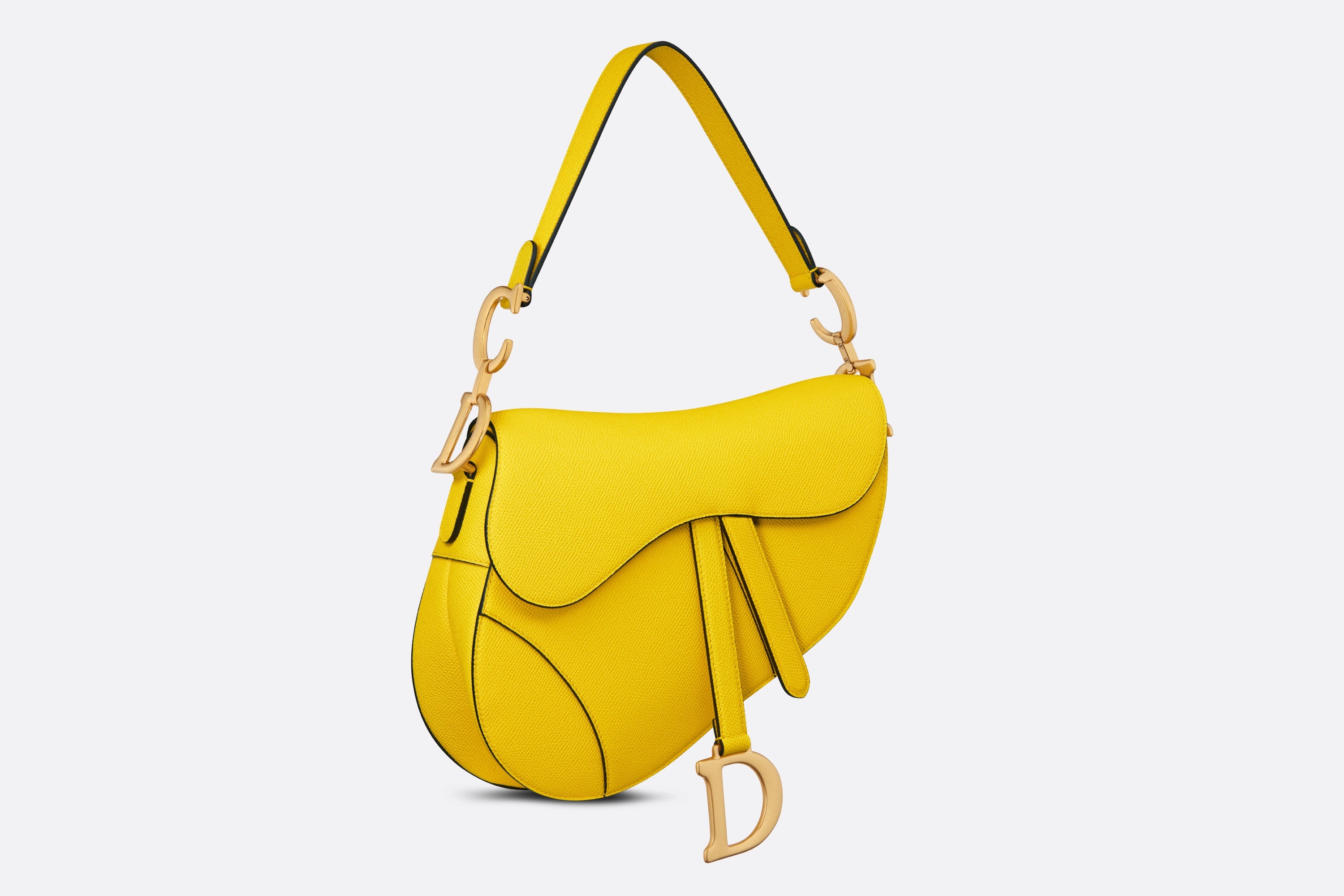 Saddle Bag with Strap - 2