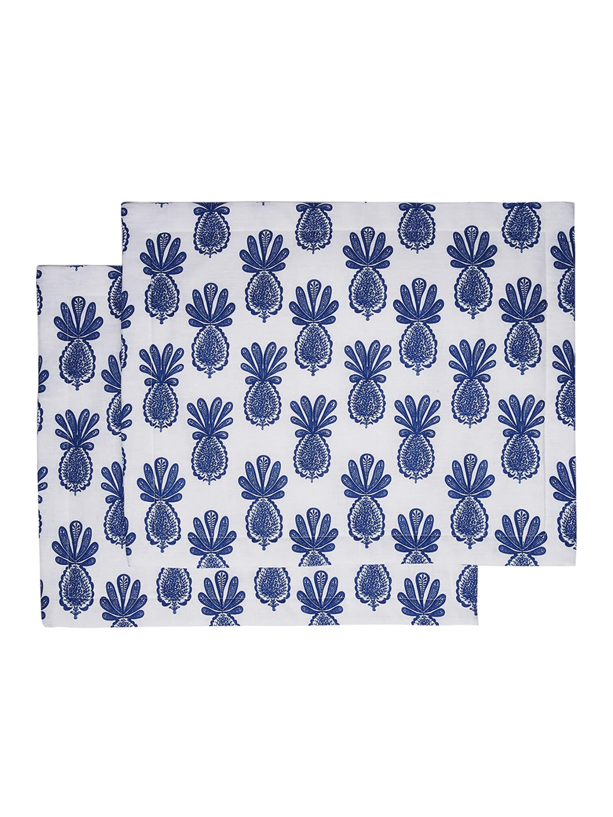 Placemats Set of 2 (13.7'' x 17.7'') - Pineapple Blue - 1