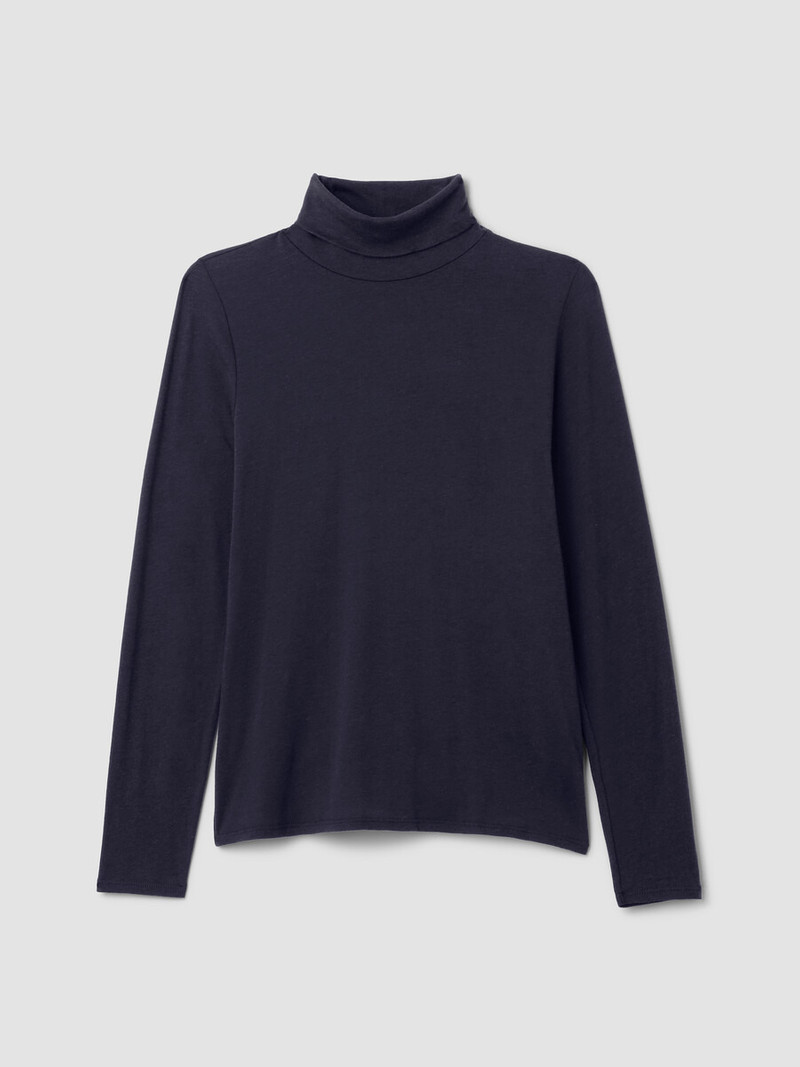 Sheer Cotton Blend Knit Turtleneck Top 1