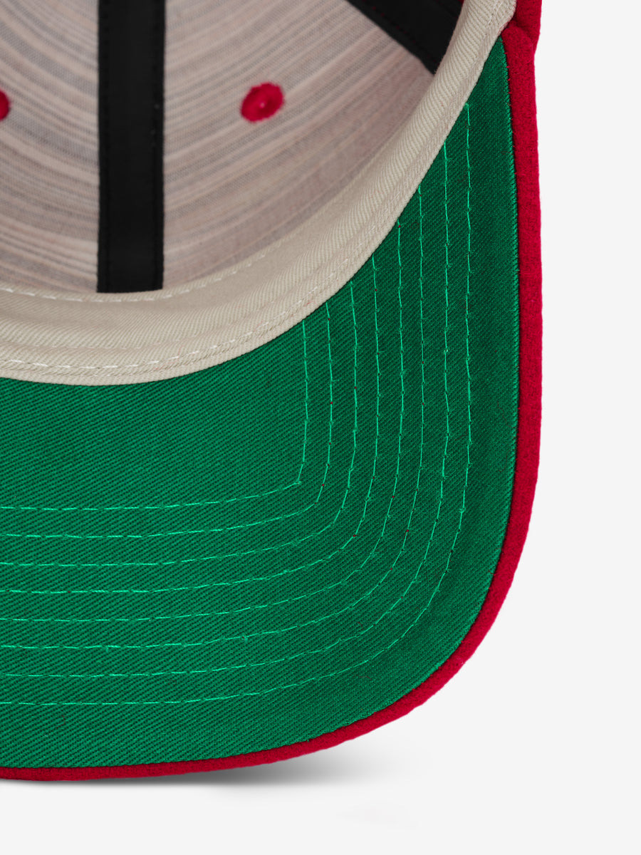 FG Monarchs 9Forty Cap - 4