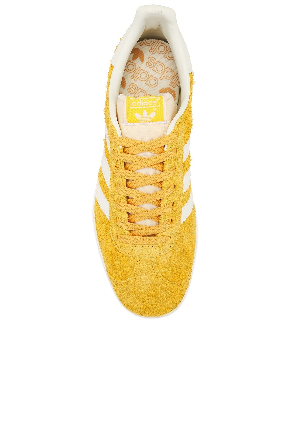 Gazelle - 4