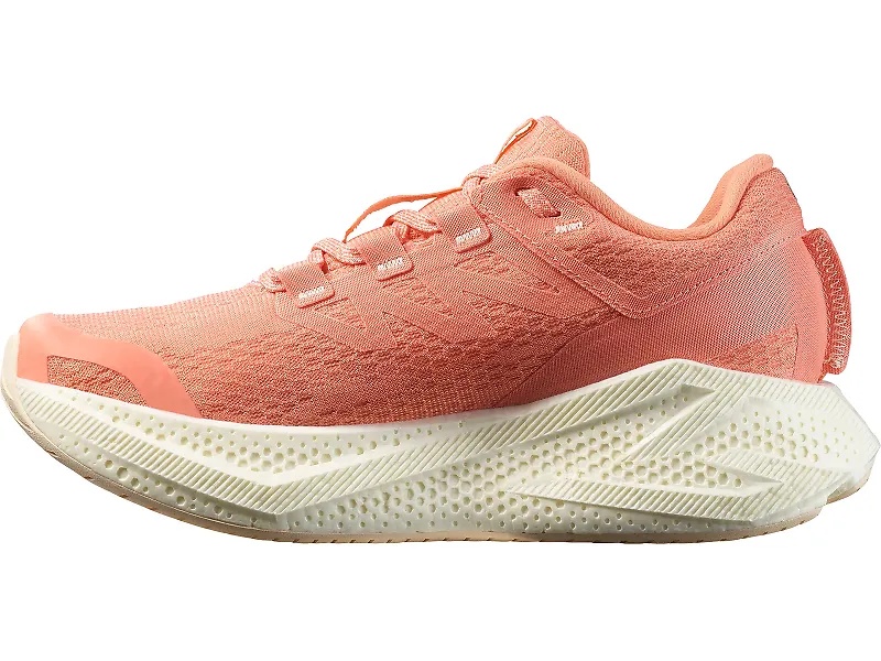 Salomon Aero Glide 3 - 2