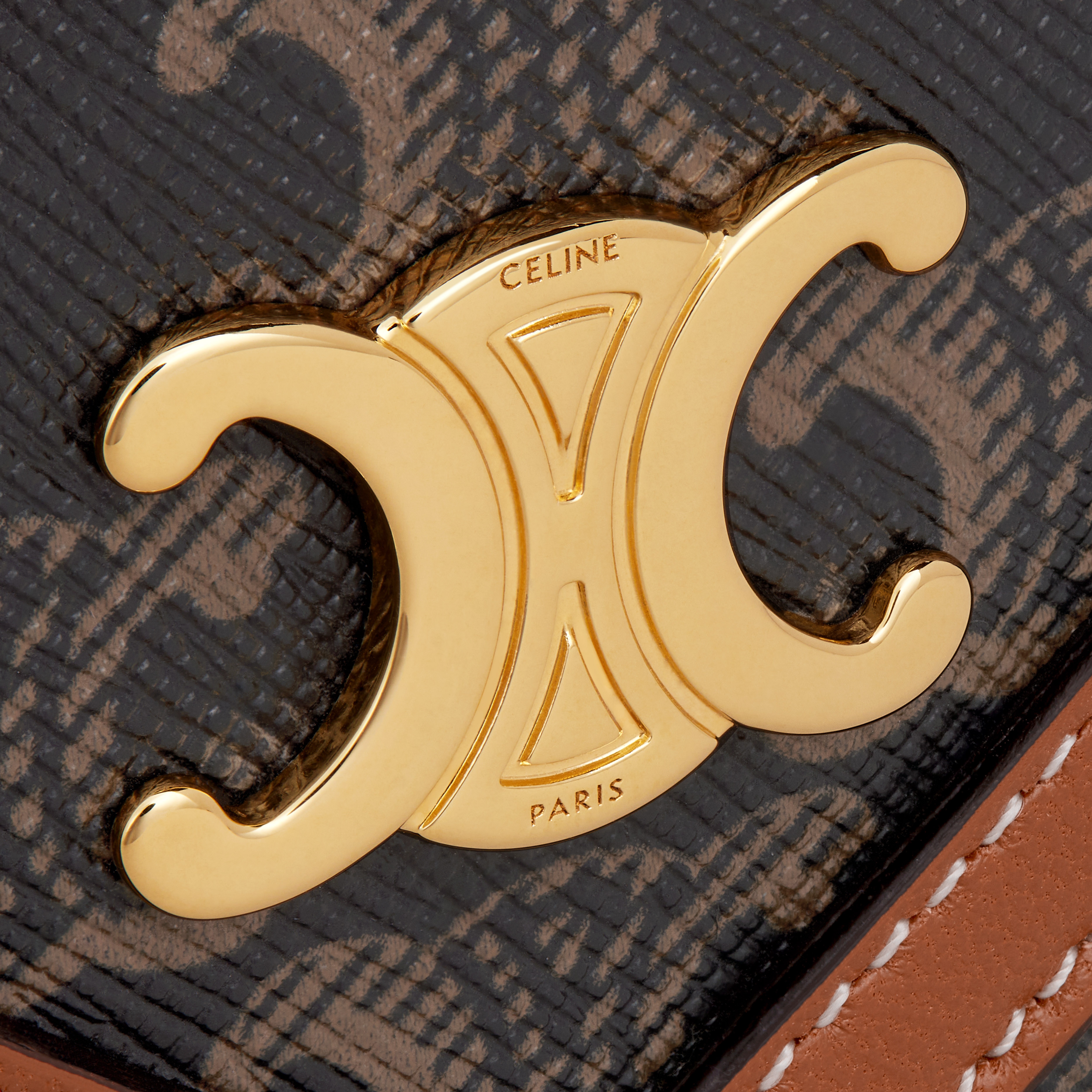 WALLET ON CHAIN in triomphe canvas and lambskin - 5