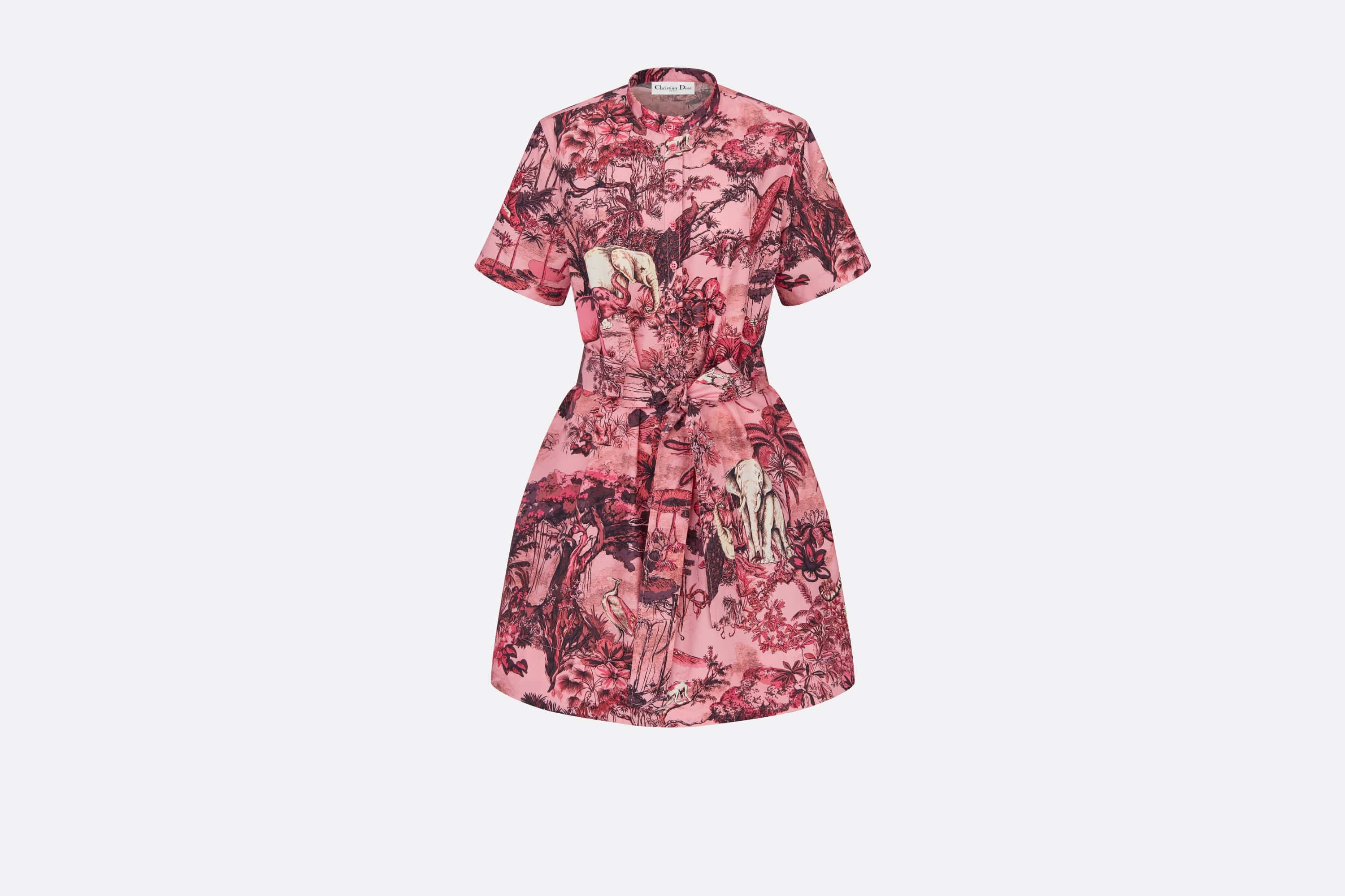 Belted Dress - 1