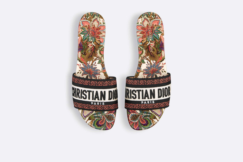 Dior Dway Slide outlook