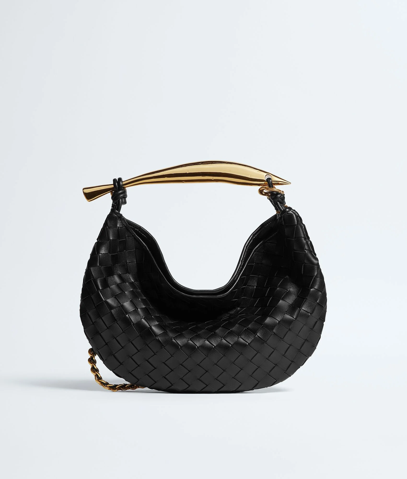Sardine With Chain - 1