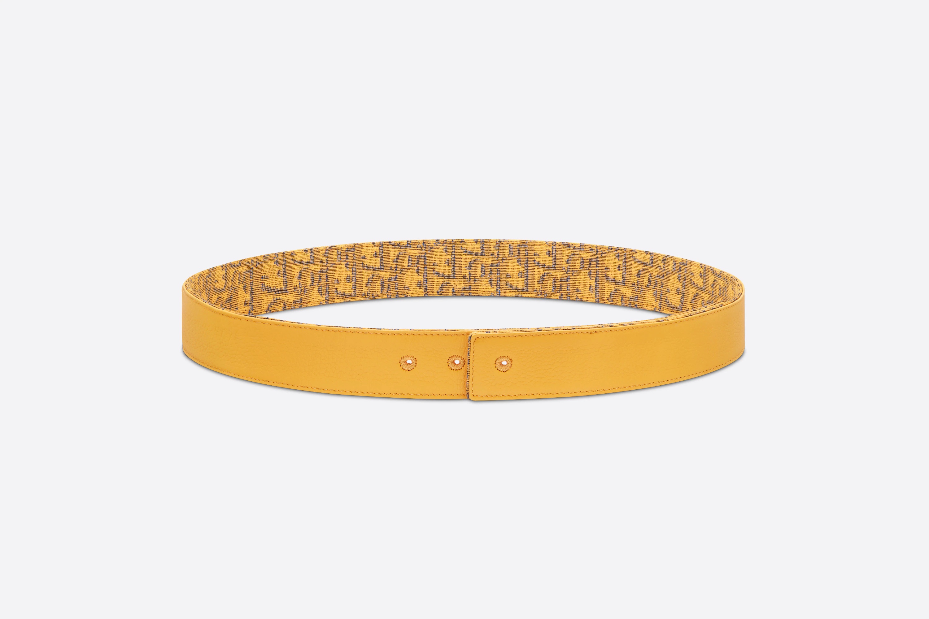 Reversible Belt Strap - 3