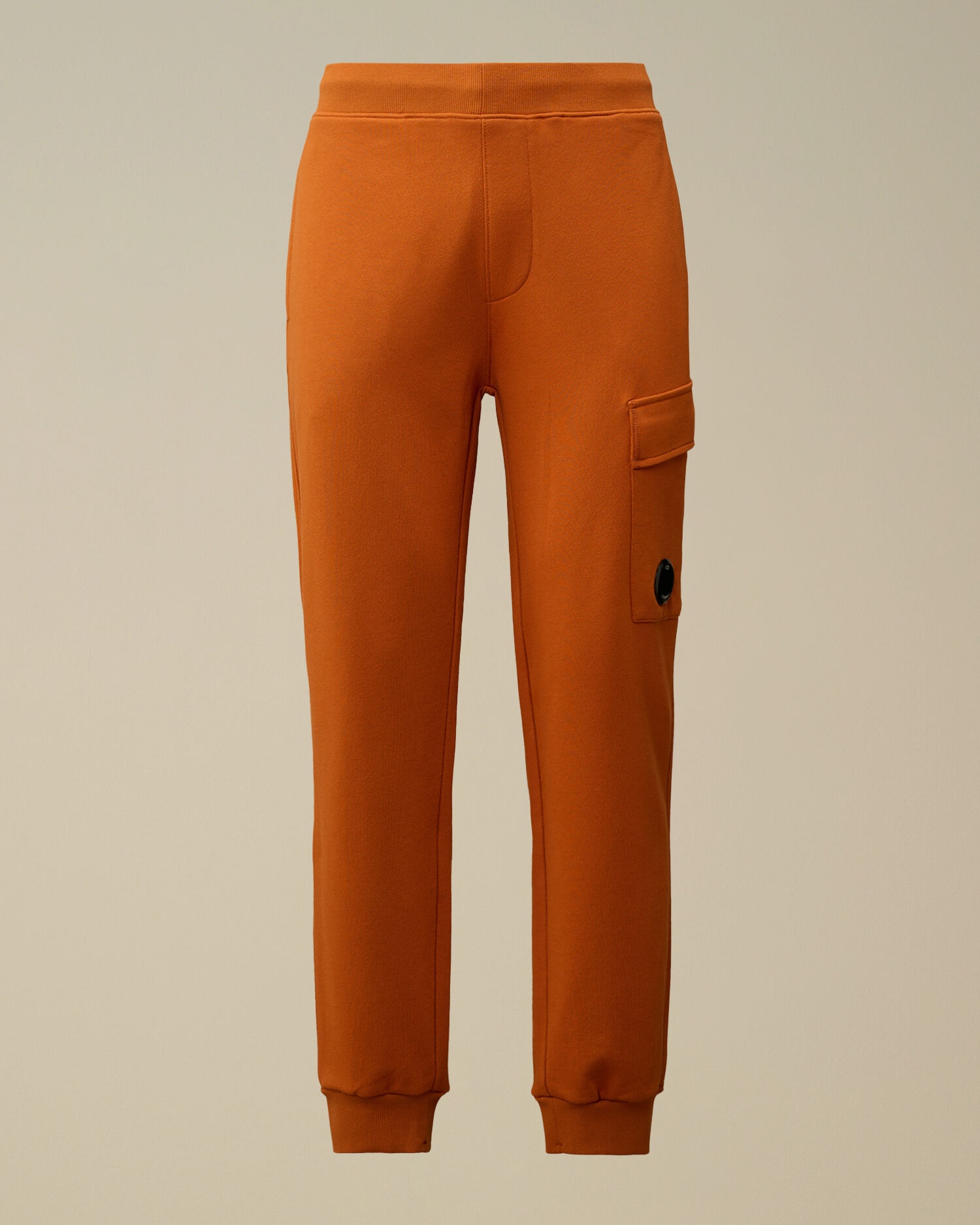 Diagonal Raised Fleece Cargo Sweatpants - 1