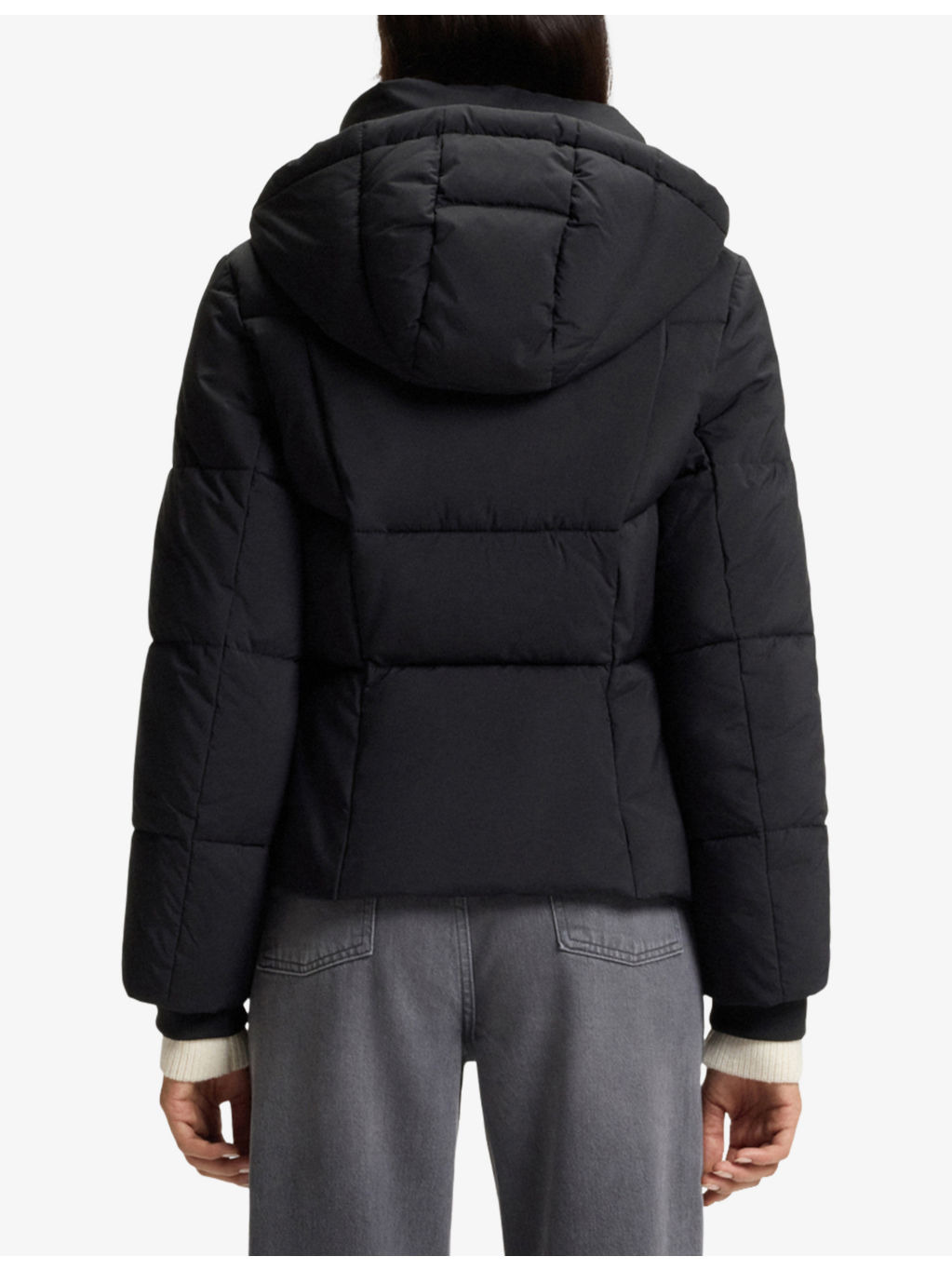 Hooded Padded Shell Jacket - 4