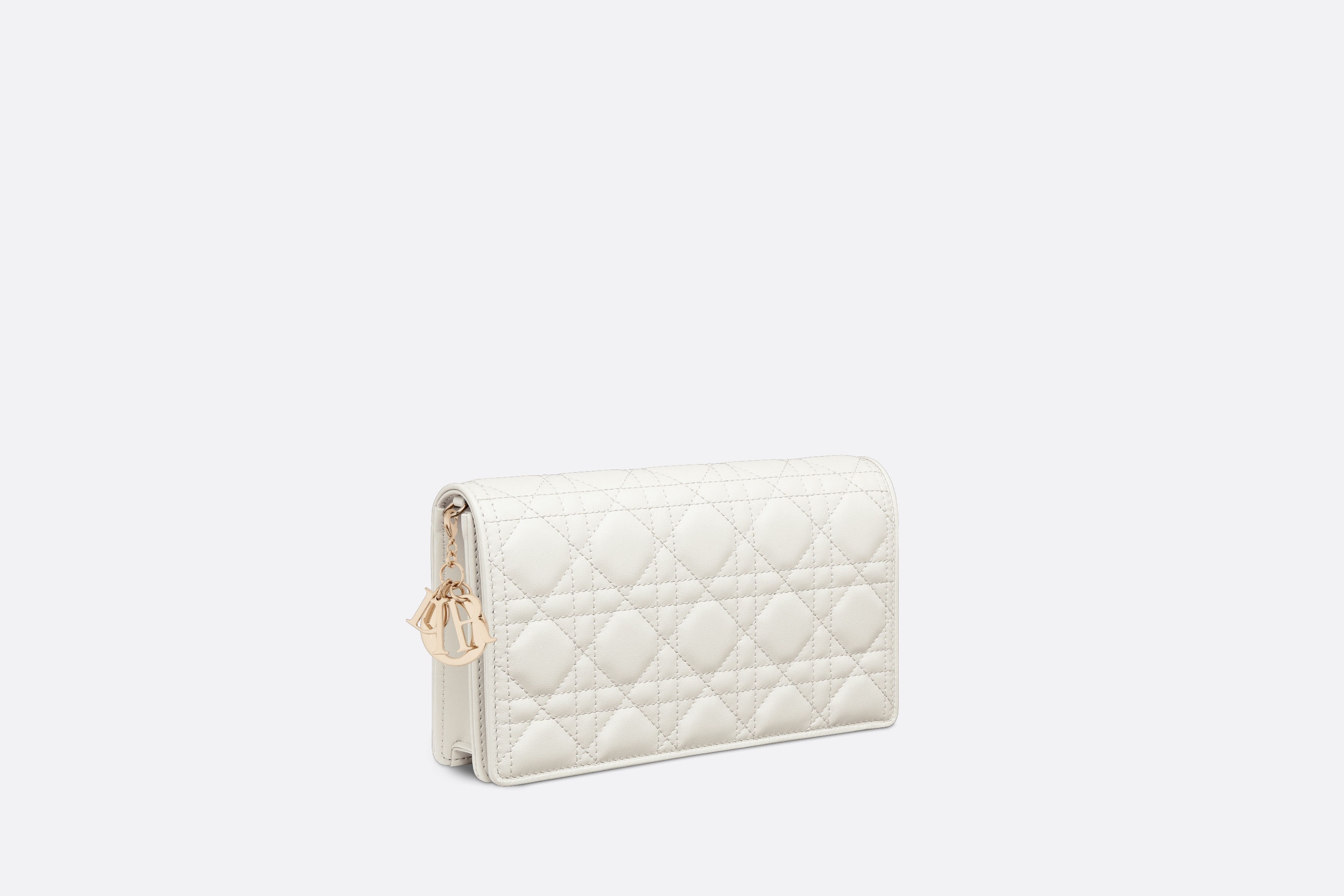 Lady Dior Pouch - 2