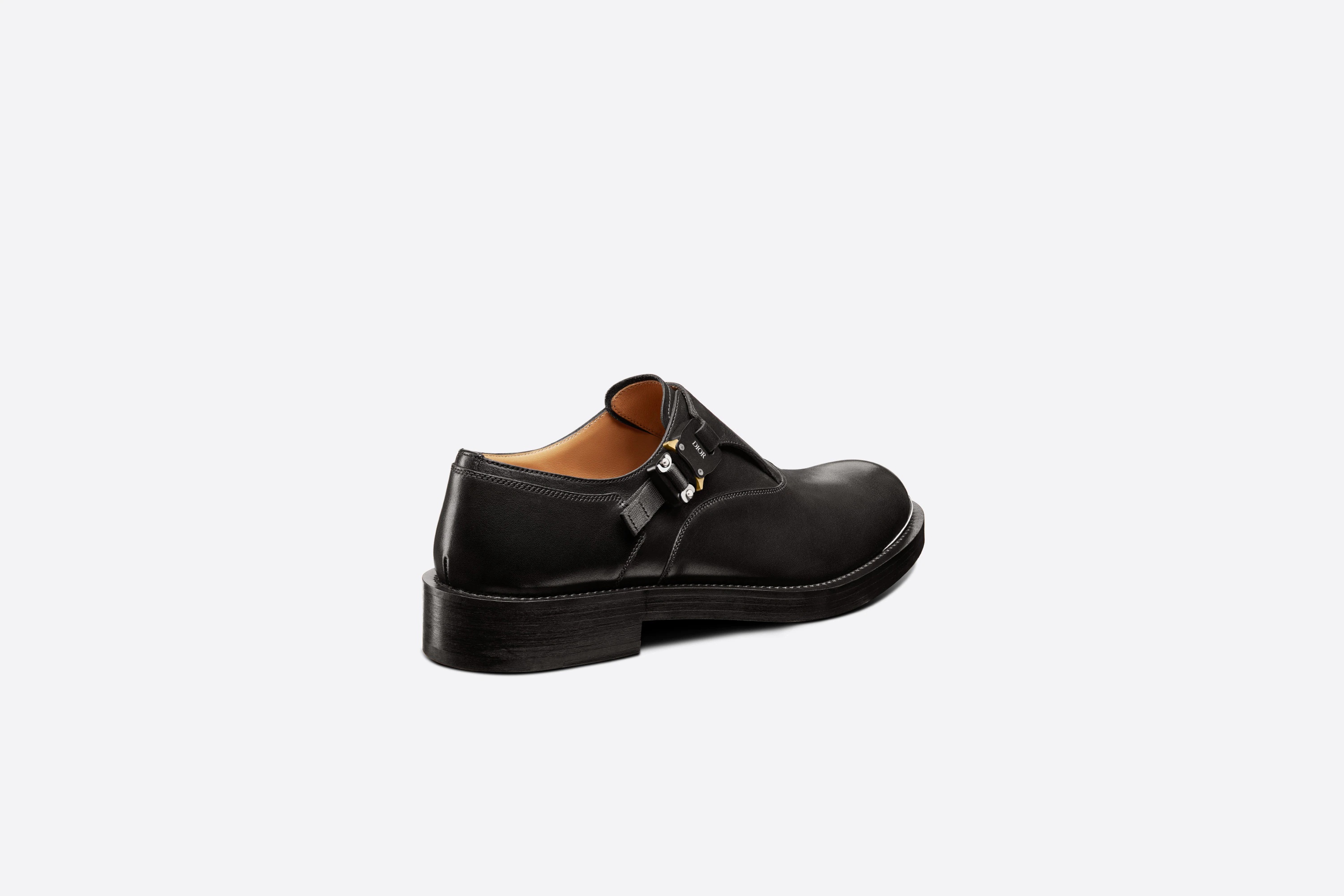 Dior Evidence Monk Shoe - 3