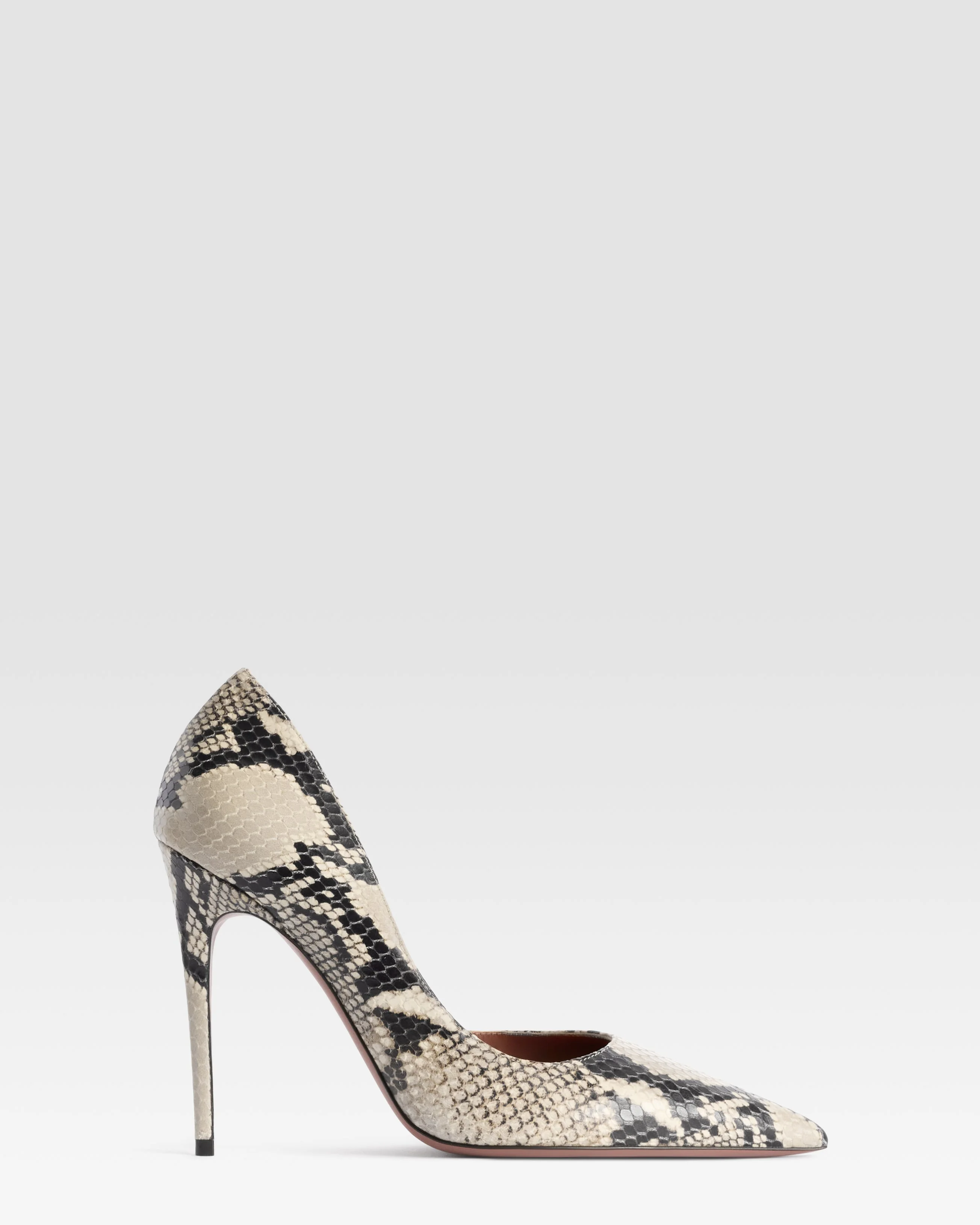 PYTHON-PRINT PUMP - 1