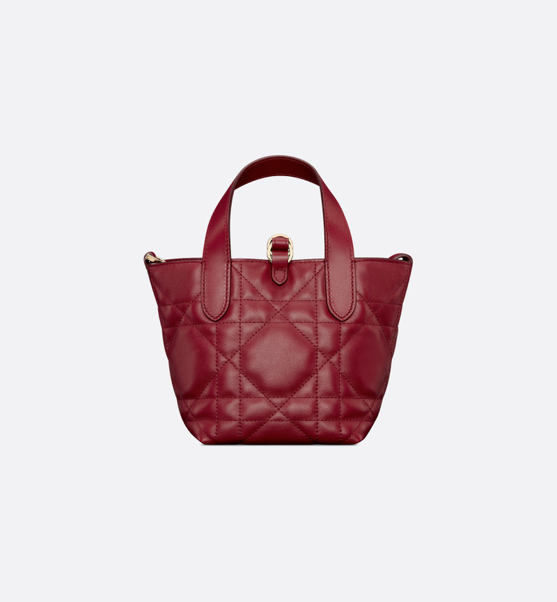 Dior Toujours Vertical Nano Tote Bag 5