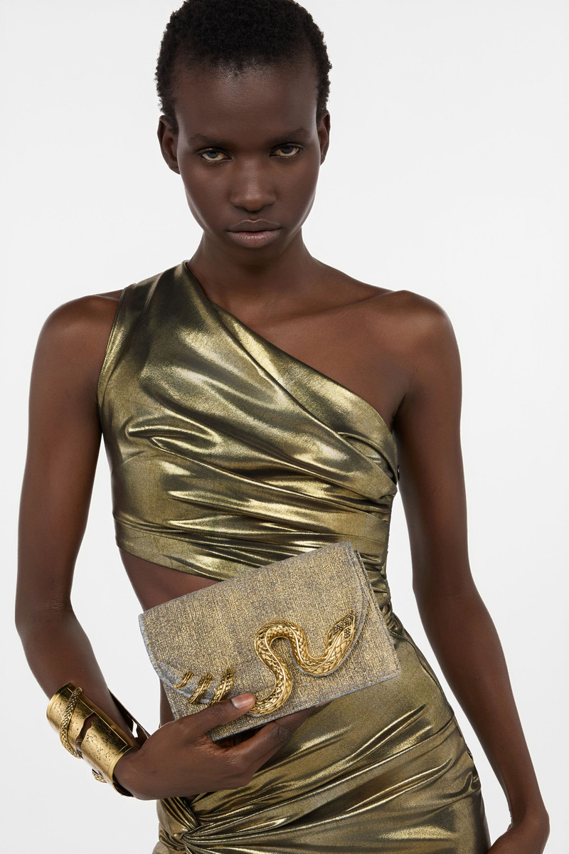 Roberto Cavalli Golden Brushed-Effect Bag with Snake Motif outlook