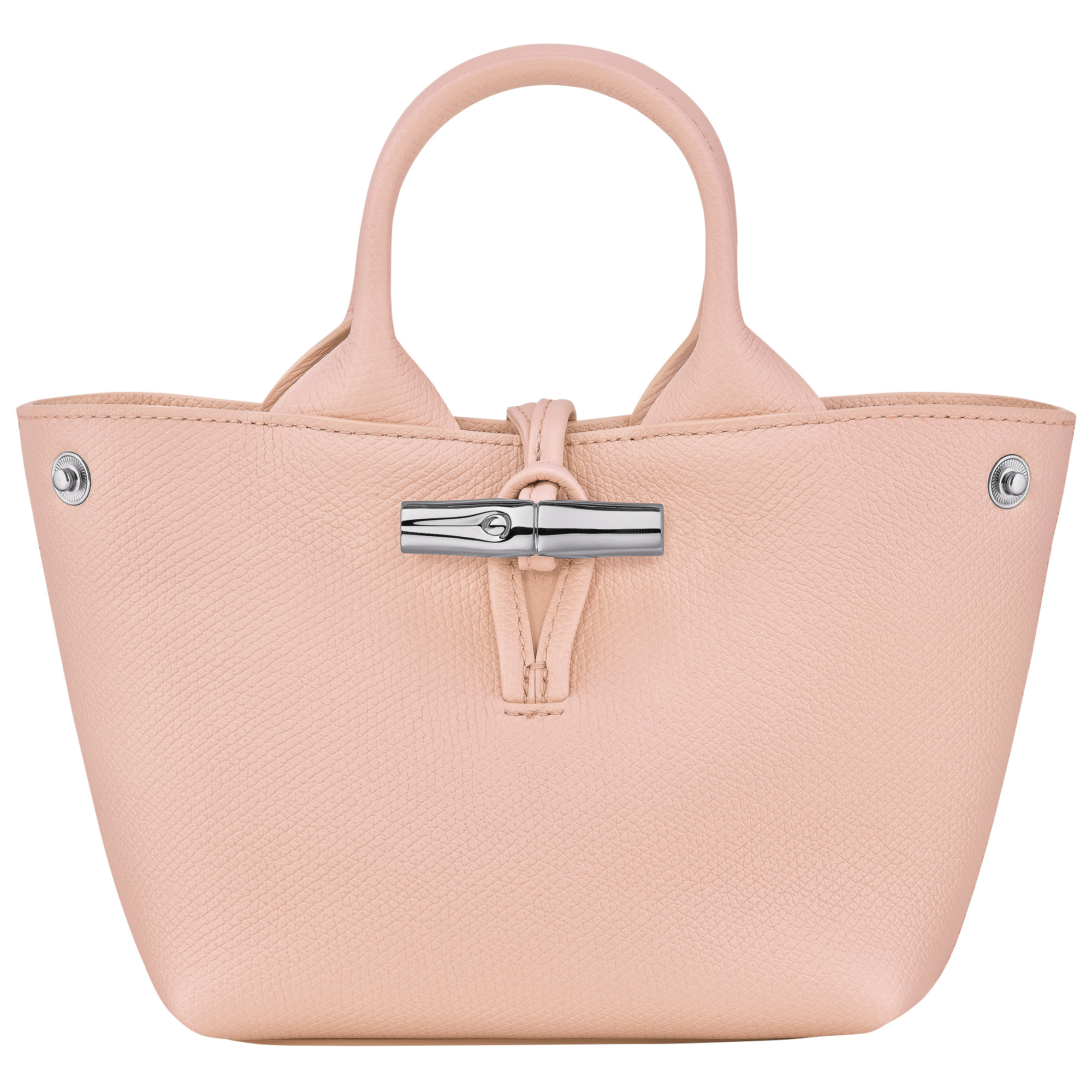 Le Roseau XS Handbag Ballerina - Leather - 5