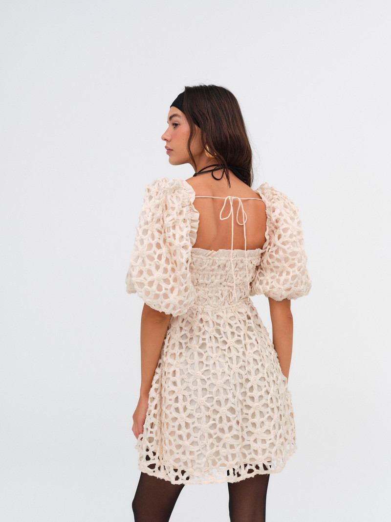 Brooke Mini Dress 4