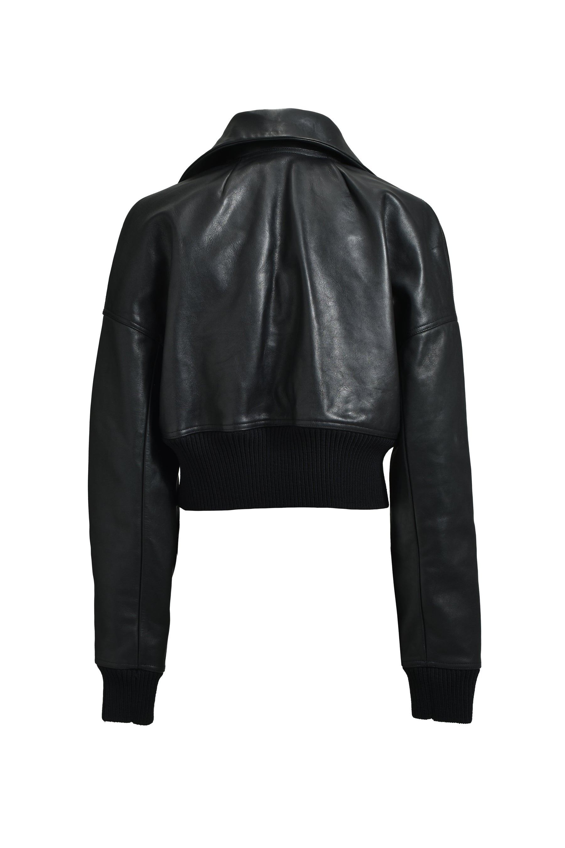 DRACUCOLLAR JKT / BLK - 7
