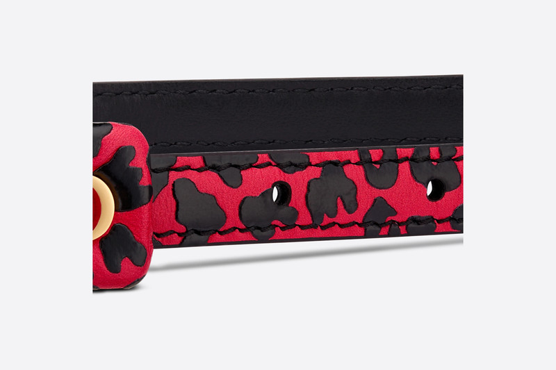 Dior Bobby Belt 4