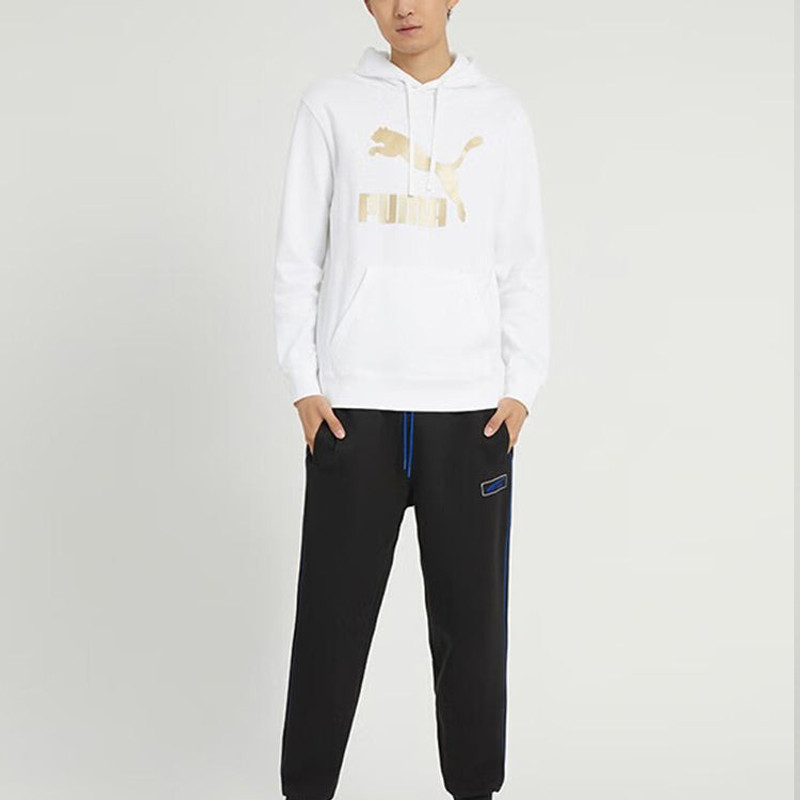 PUMA PUMA Classics Metallic Regular Fit Hoodie 'White' 537678-02 outlook