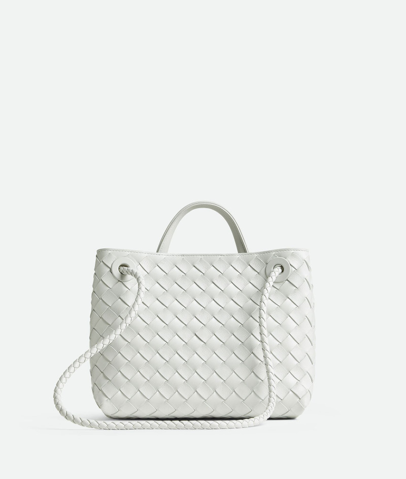 Bottega Veneta Small Andiamo outlook