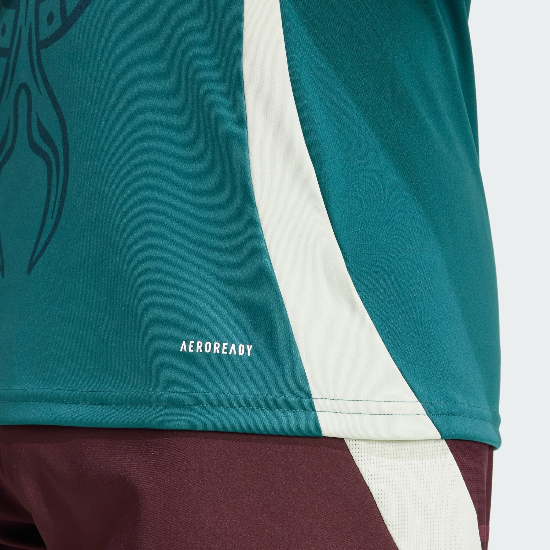 Mexico Pre-Match Jersey - 6