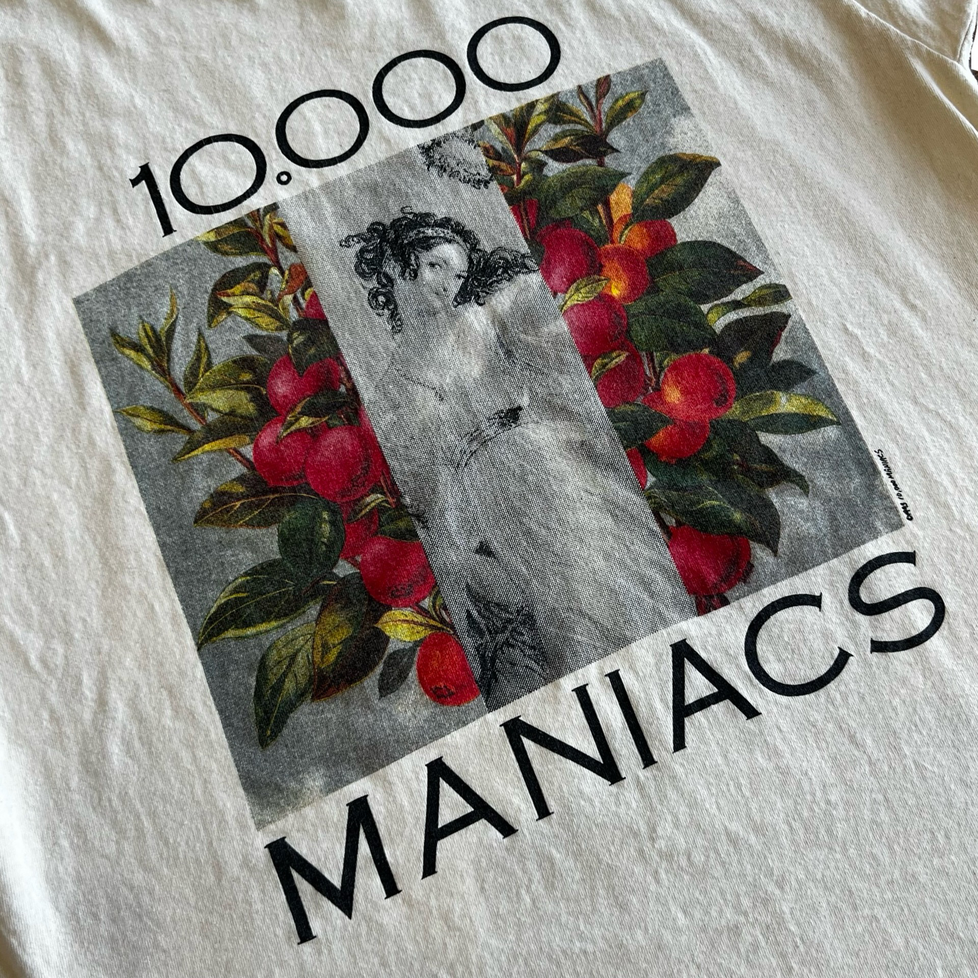 Final Blow - Vintage 10,000 Maniacs Our Time in Eden T-Shirt SZ XL - 2