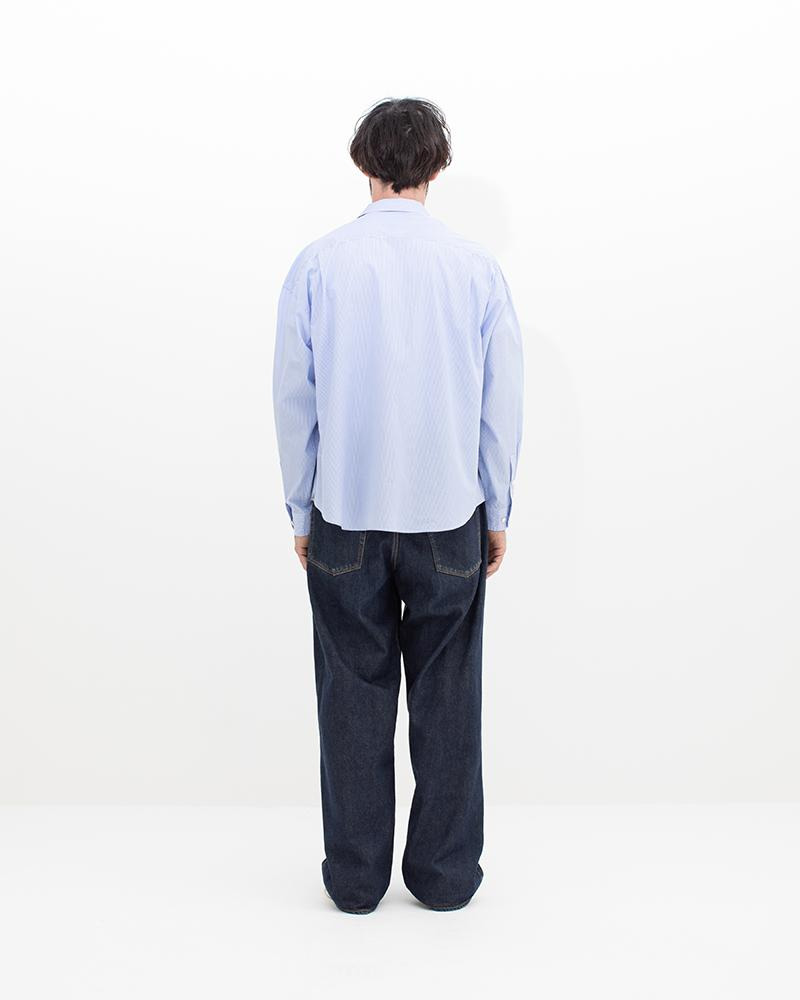 HEGEL SHIRT L/S BLUE STRIPE - 4