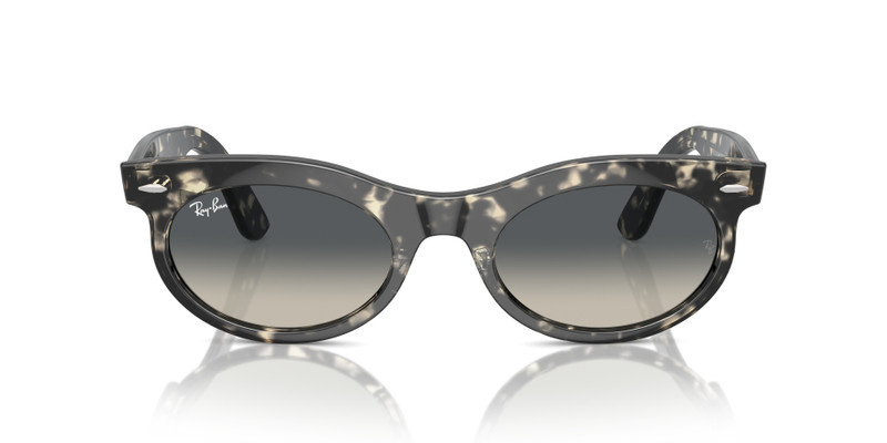 Ray-Ban WAYFARER의 특징 outlook