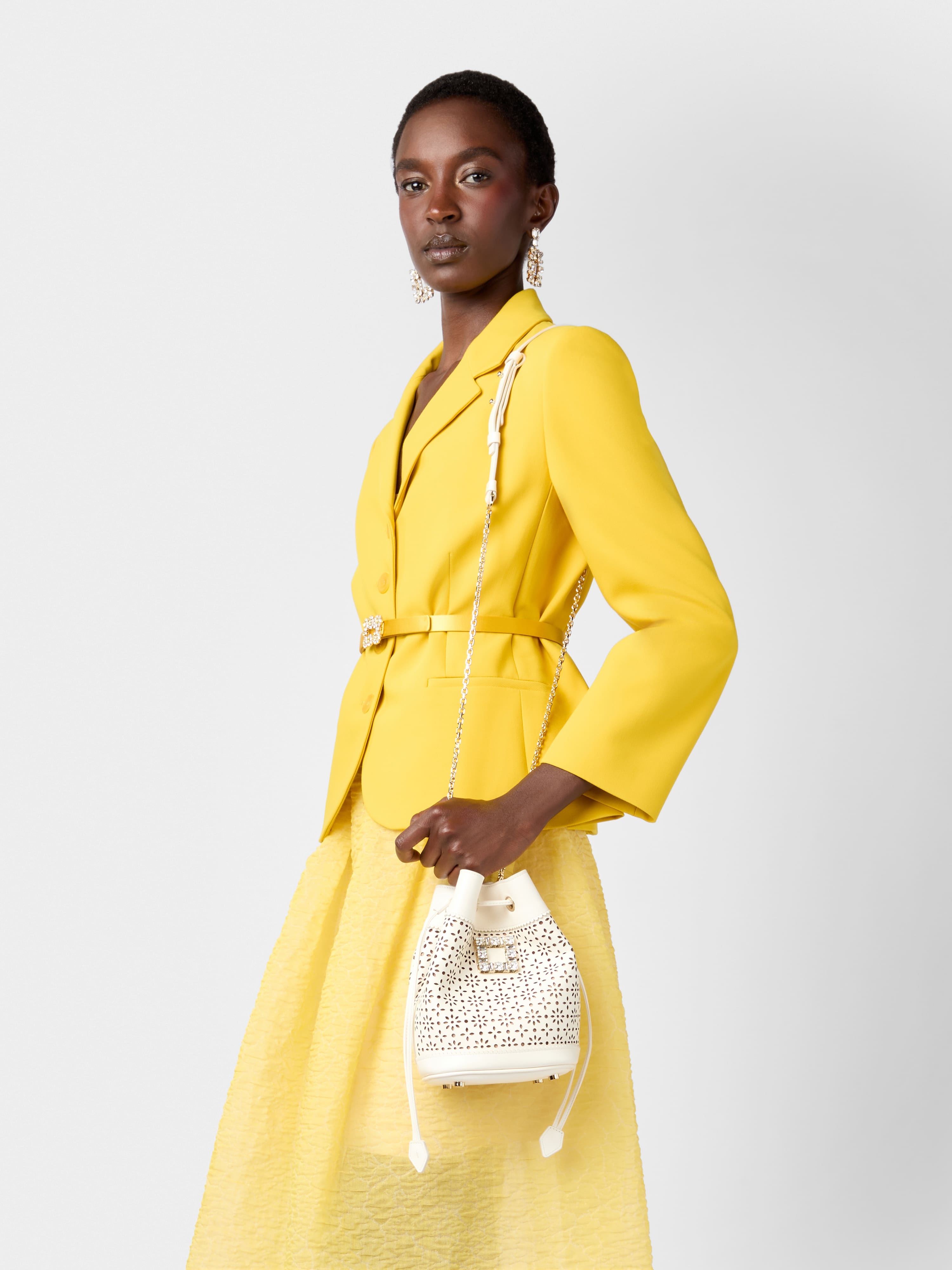 Très Vivier Bucket Bag in leather - 11