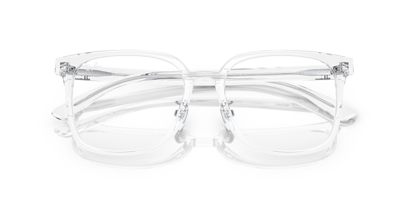 Ray-Ban RB5419 OPTICS outlook