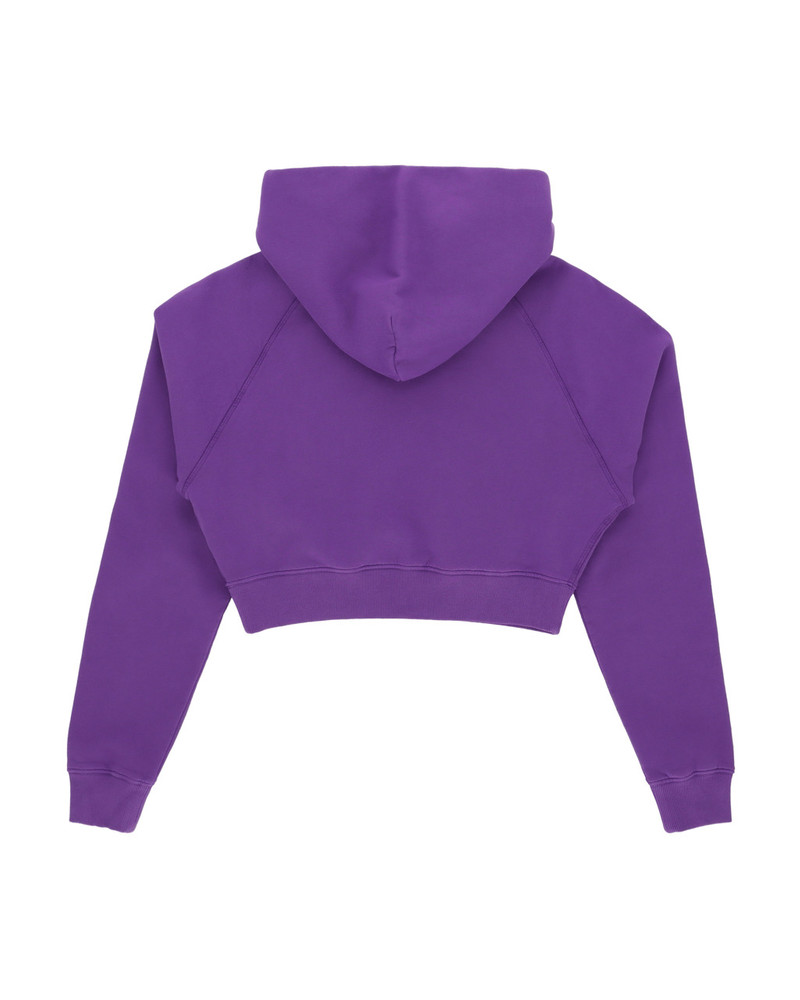 1017 ALYX 9SM CROPPED HOODIE outlook