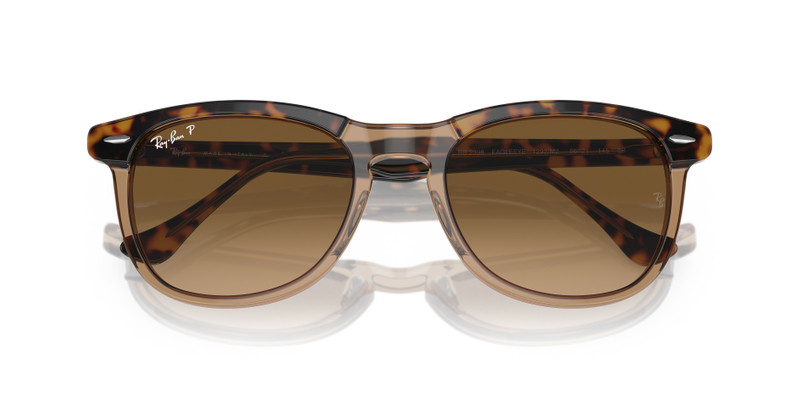 Ray-Ban EAGLE EYE outlook