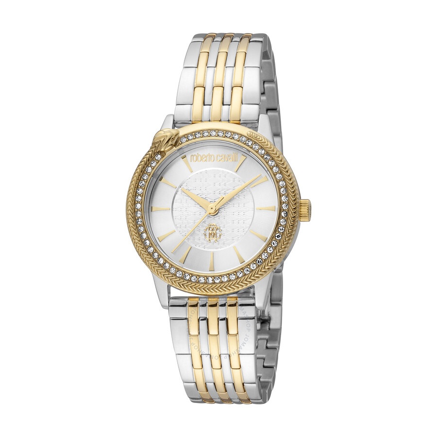 Roberto Cavalli Fashion Watch Quartz Silver Dial Ladies Watch RC5L037M0085 - 1