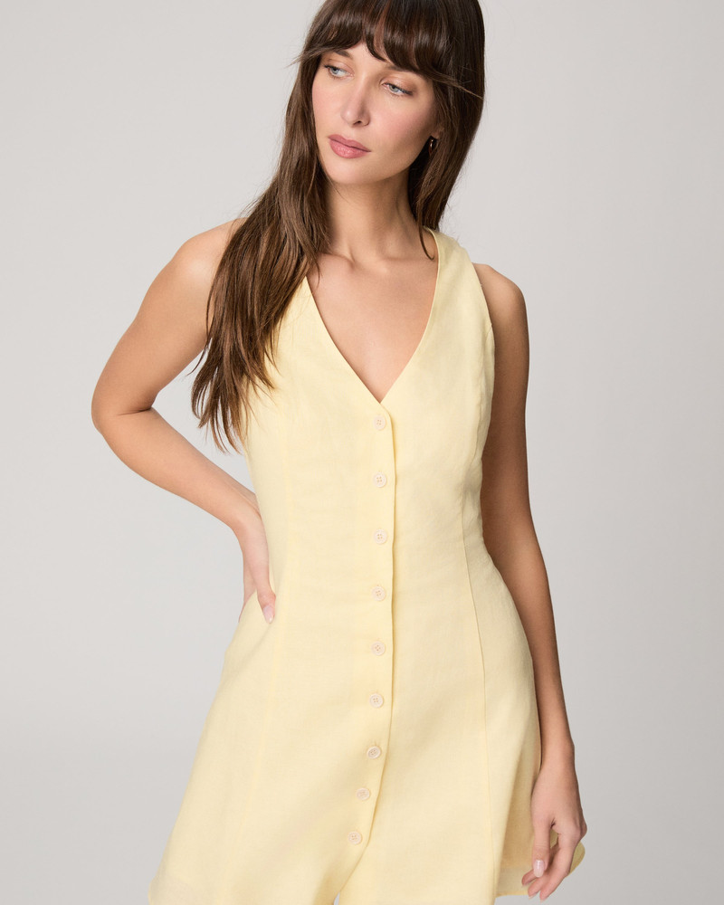 Raye Dress 4