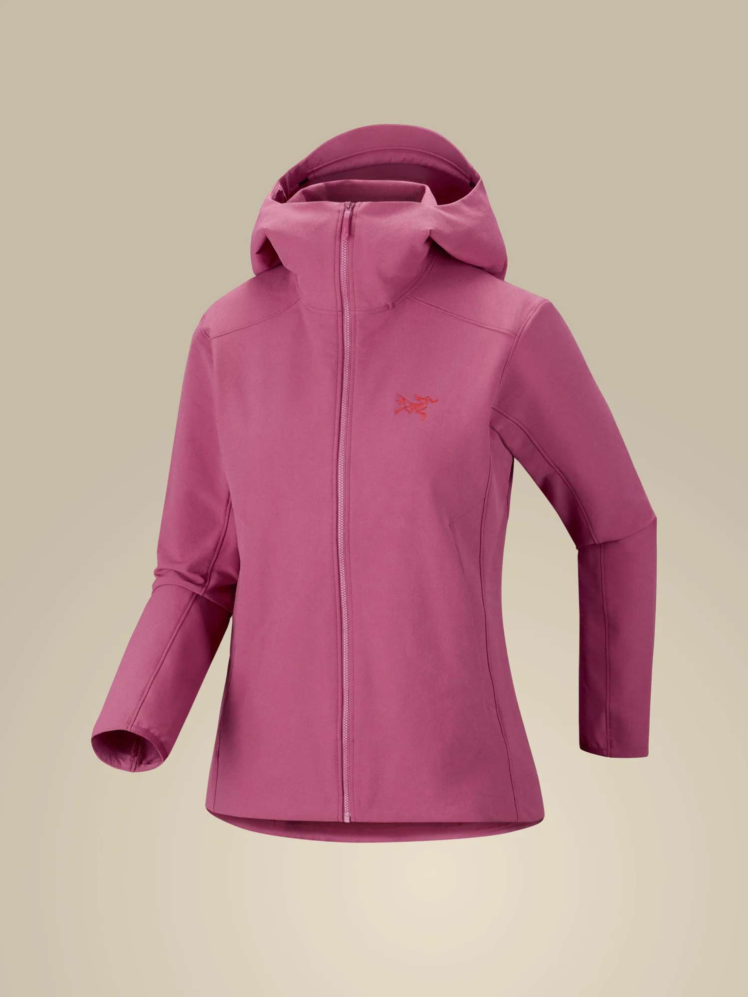 Gamma Hoody - 1