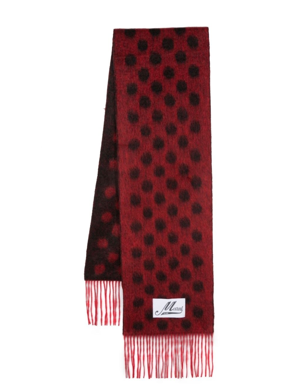 polka-dot fringed scarf - 1