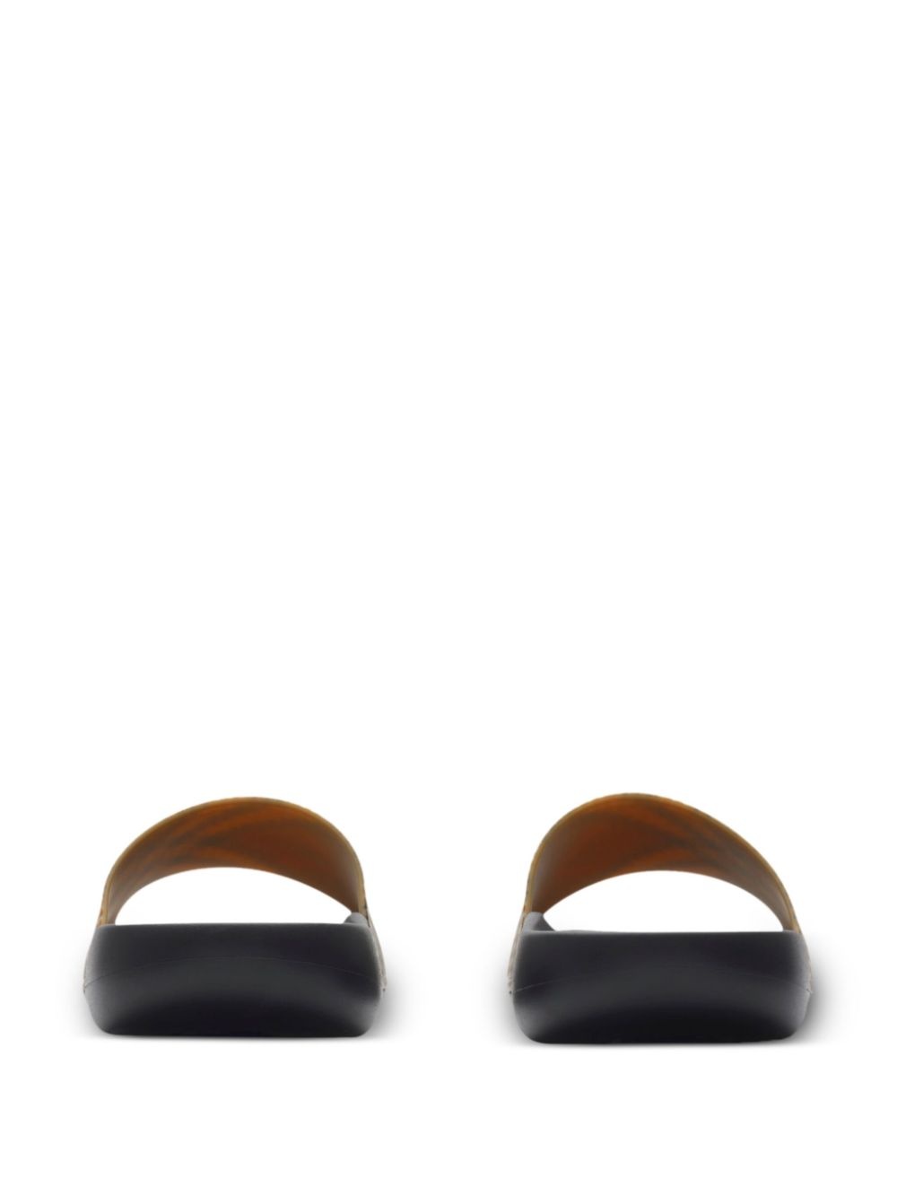 Dive slides - 4