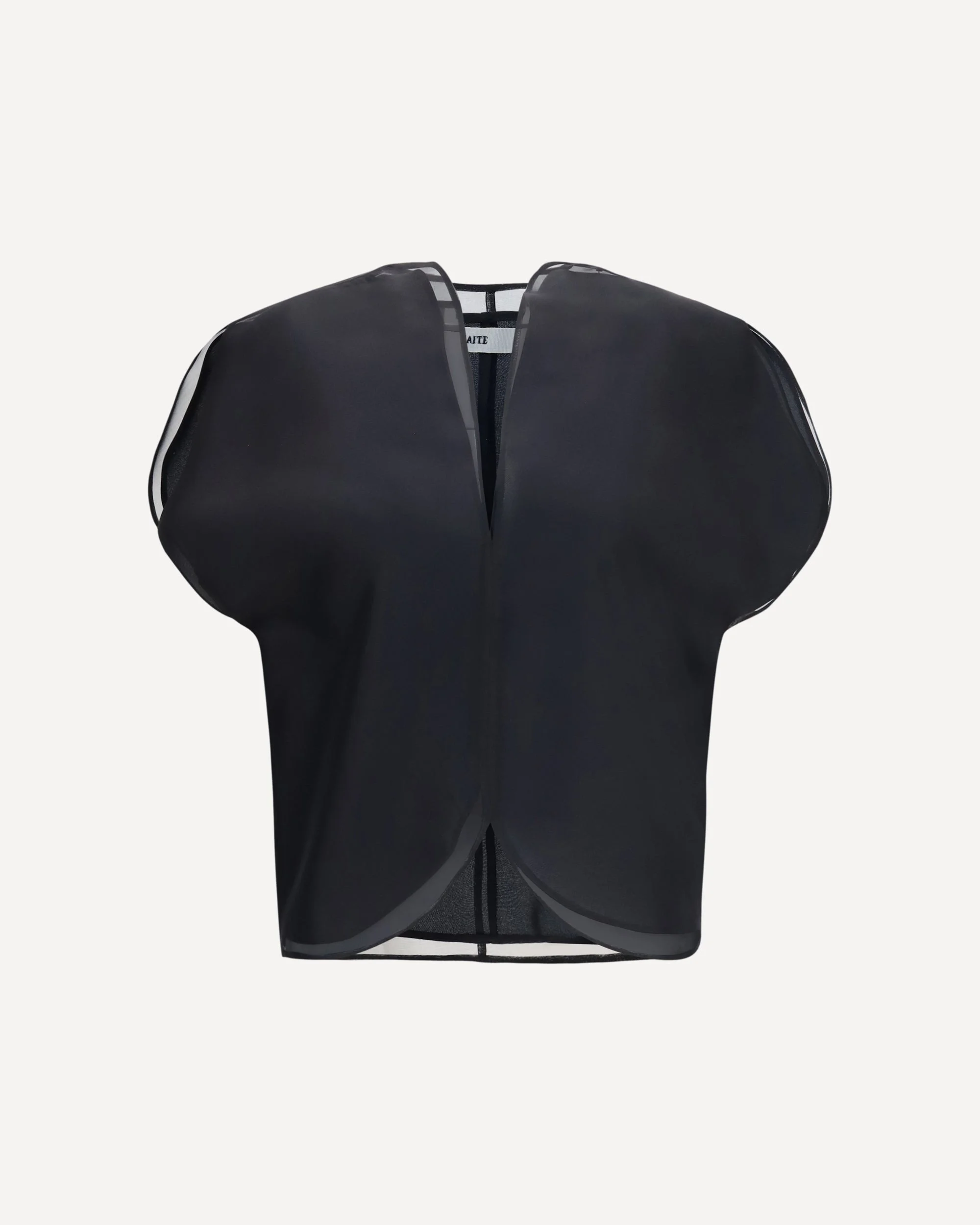 Briar silk organza Top - 1