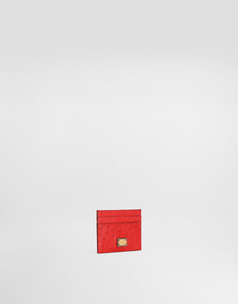 Dolce & Gabbana Polished ostrich leather card holder outlook