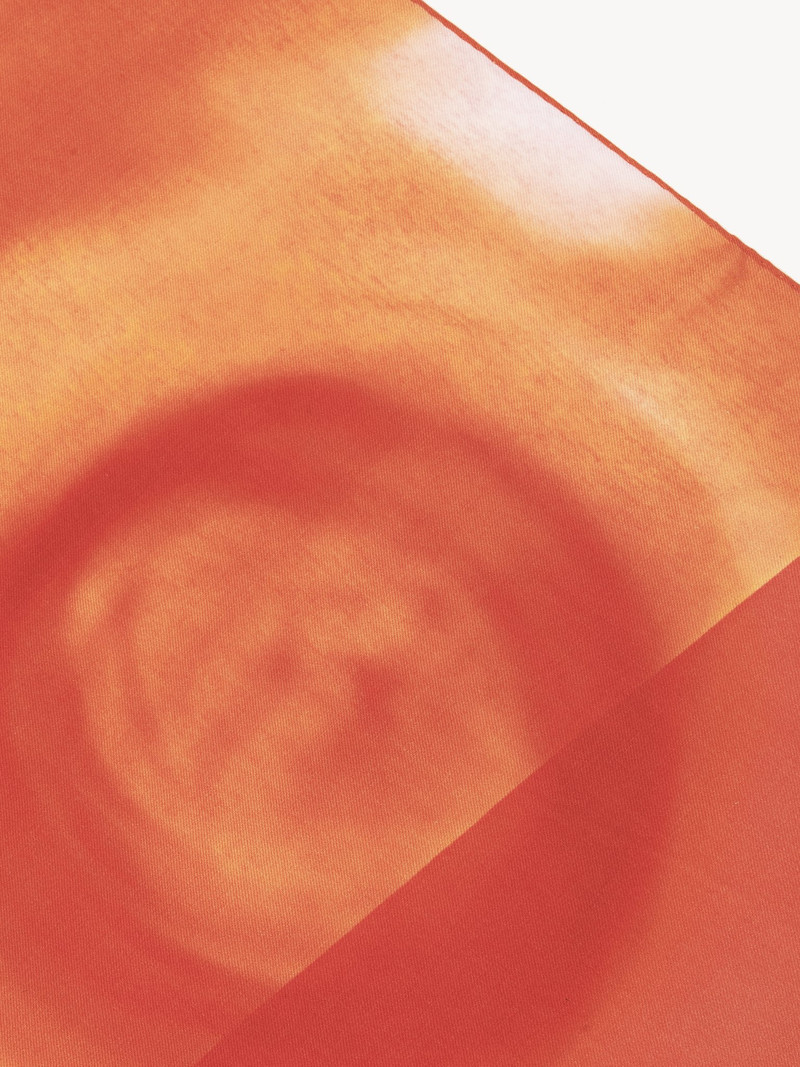 Chloé FUSION PRINTED LONG SCARF outlook