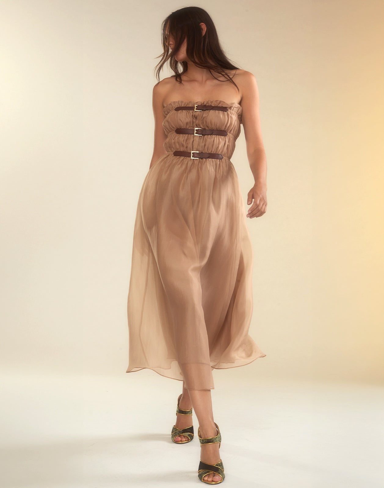 Buckle Up Silk Organza Dress - 3