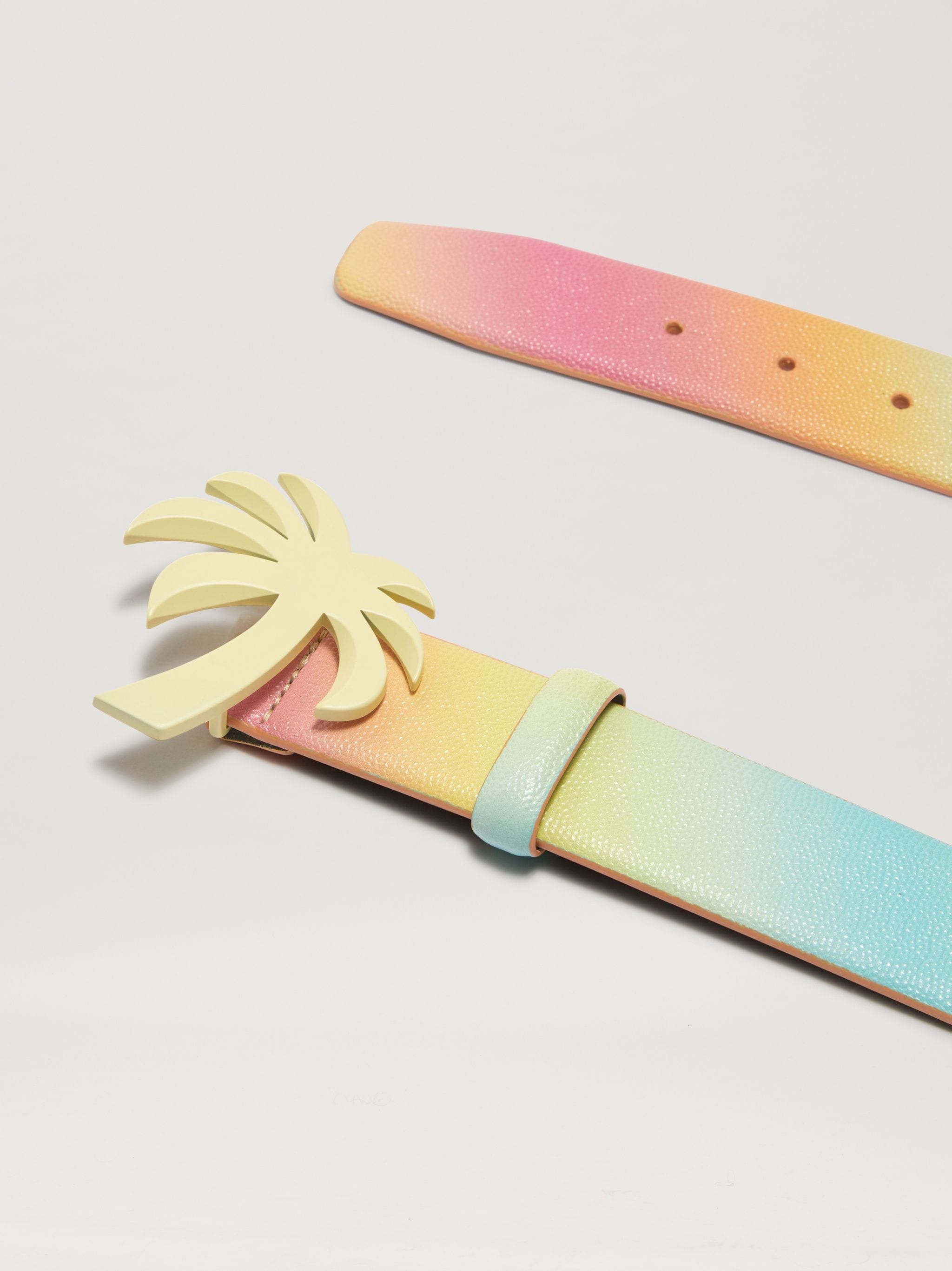 Rainbow Palm Belt - 2