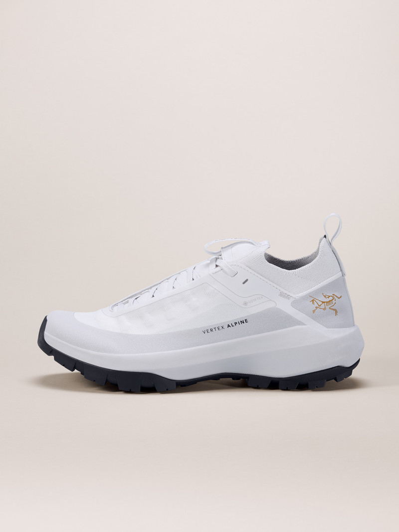 Vertex Alpine GTX Shoe 1