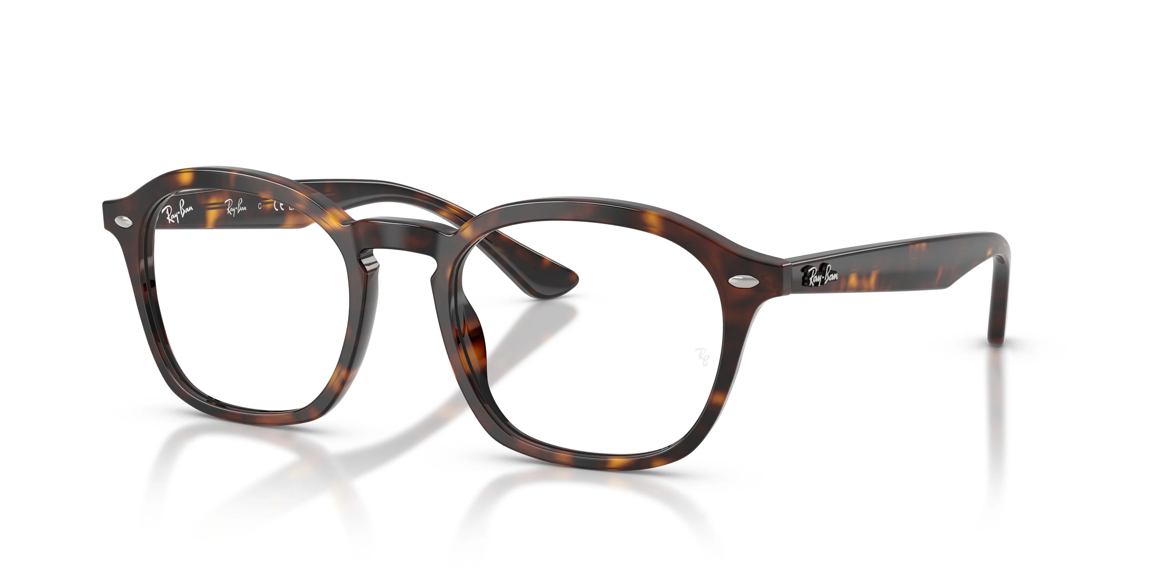 RB5451 OPTICS - 1