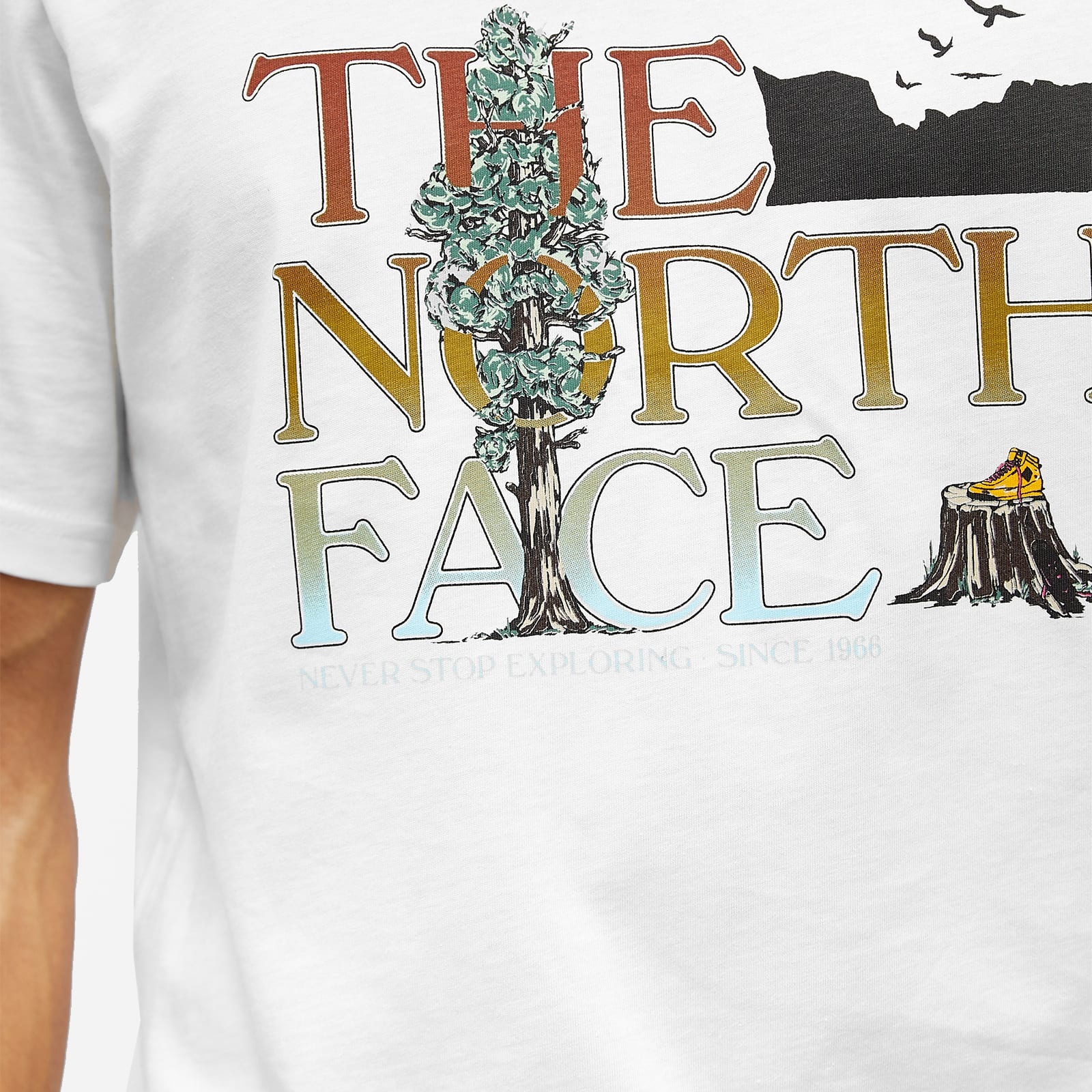 The North Face Graphic T-Shirt - 5