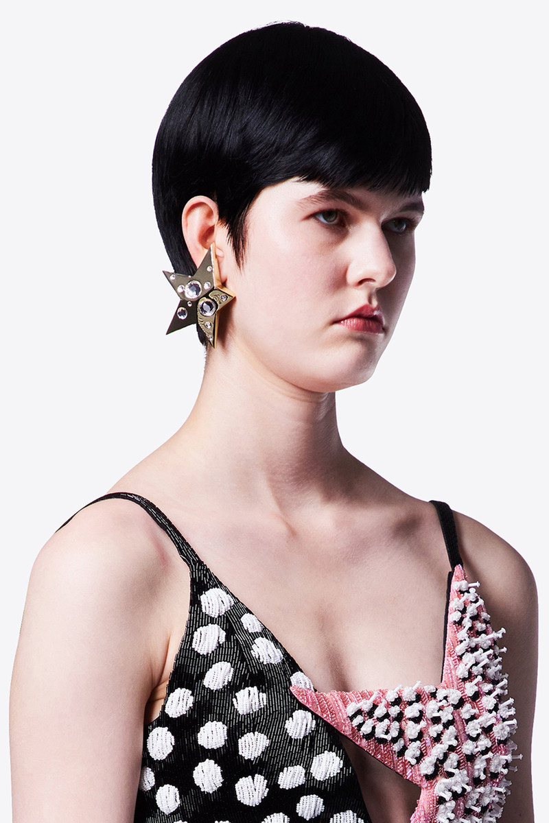 AREA CRYSTAL STAR EARRING outlook