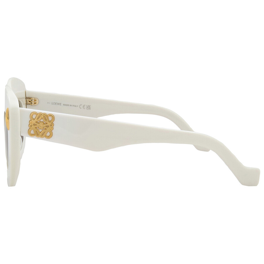 Loewe Brown Cat Eye Ladies Sunglasses LW40127I 25E 48 - 4