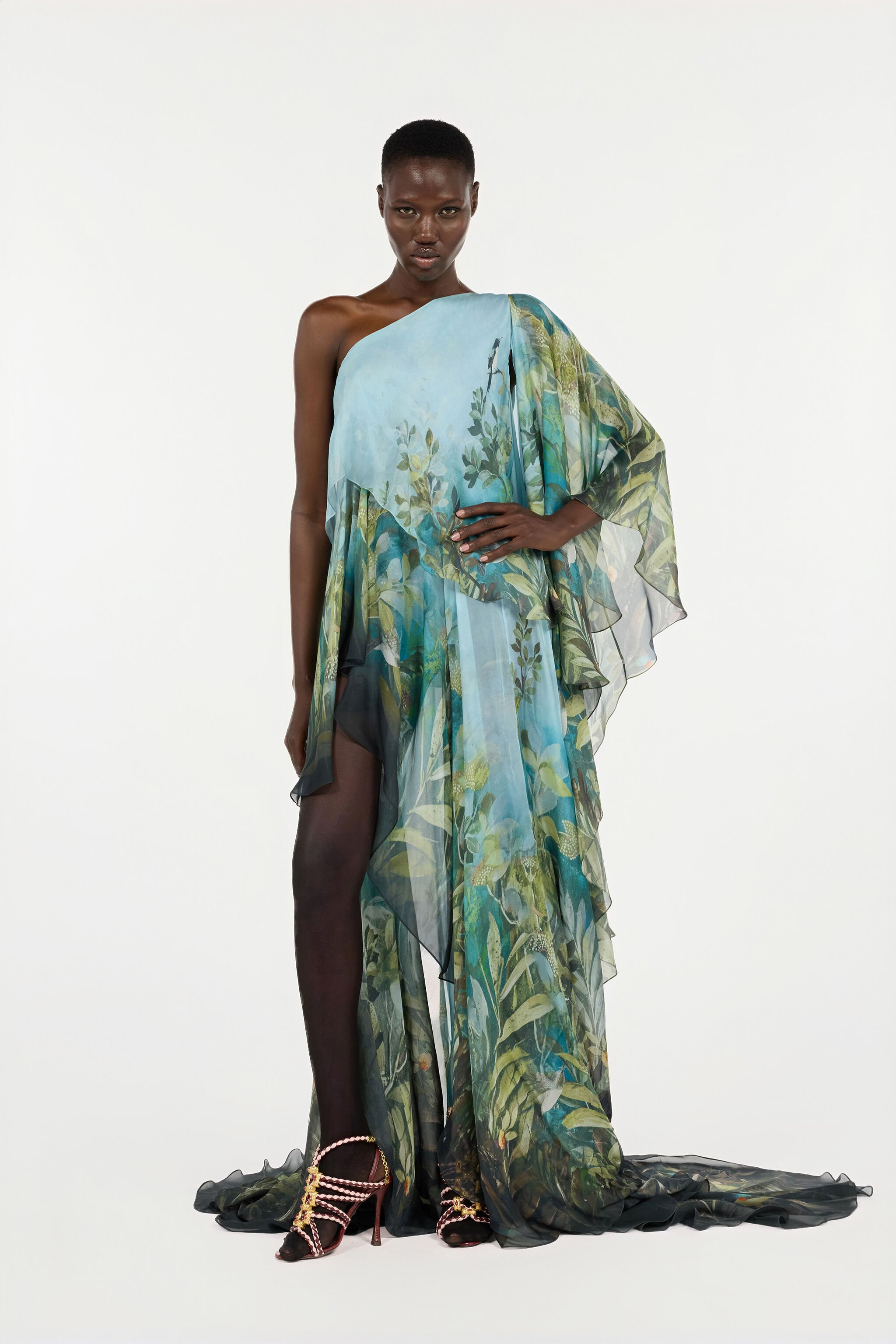 Extra-Long Silk Dress With Nature Print - 2