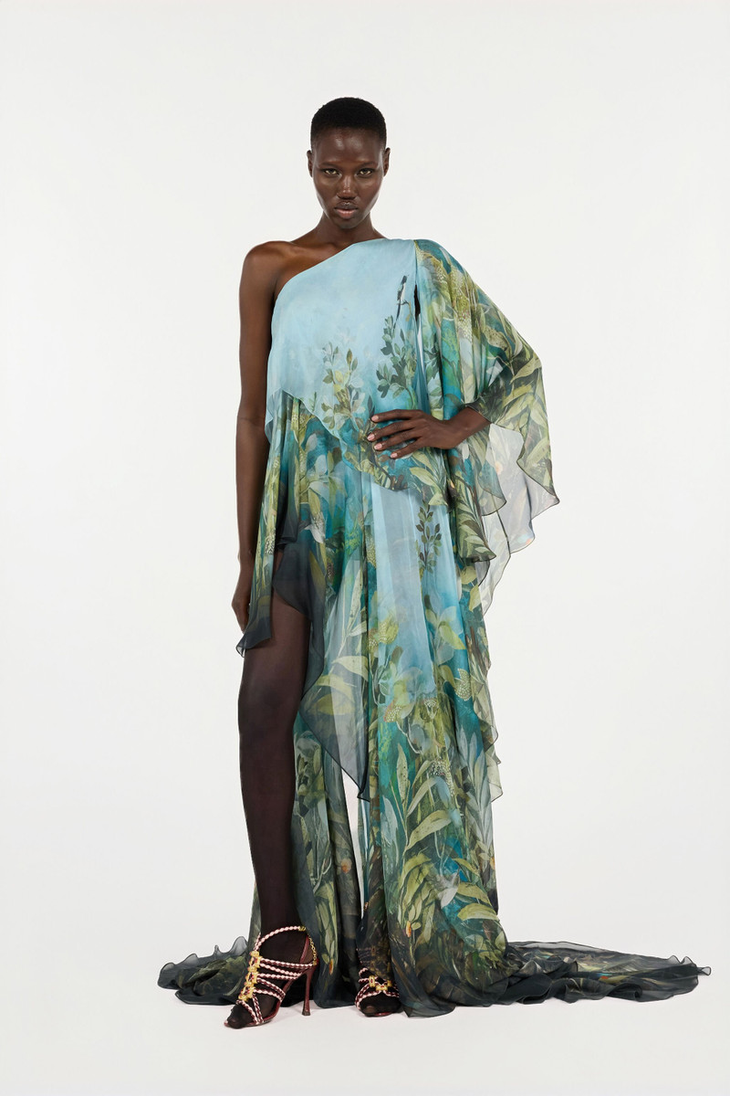 Roberto Cavalli Extra-Long Silk Dress With Nature Print outlook