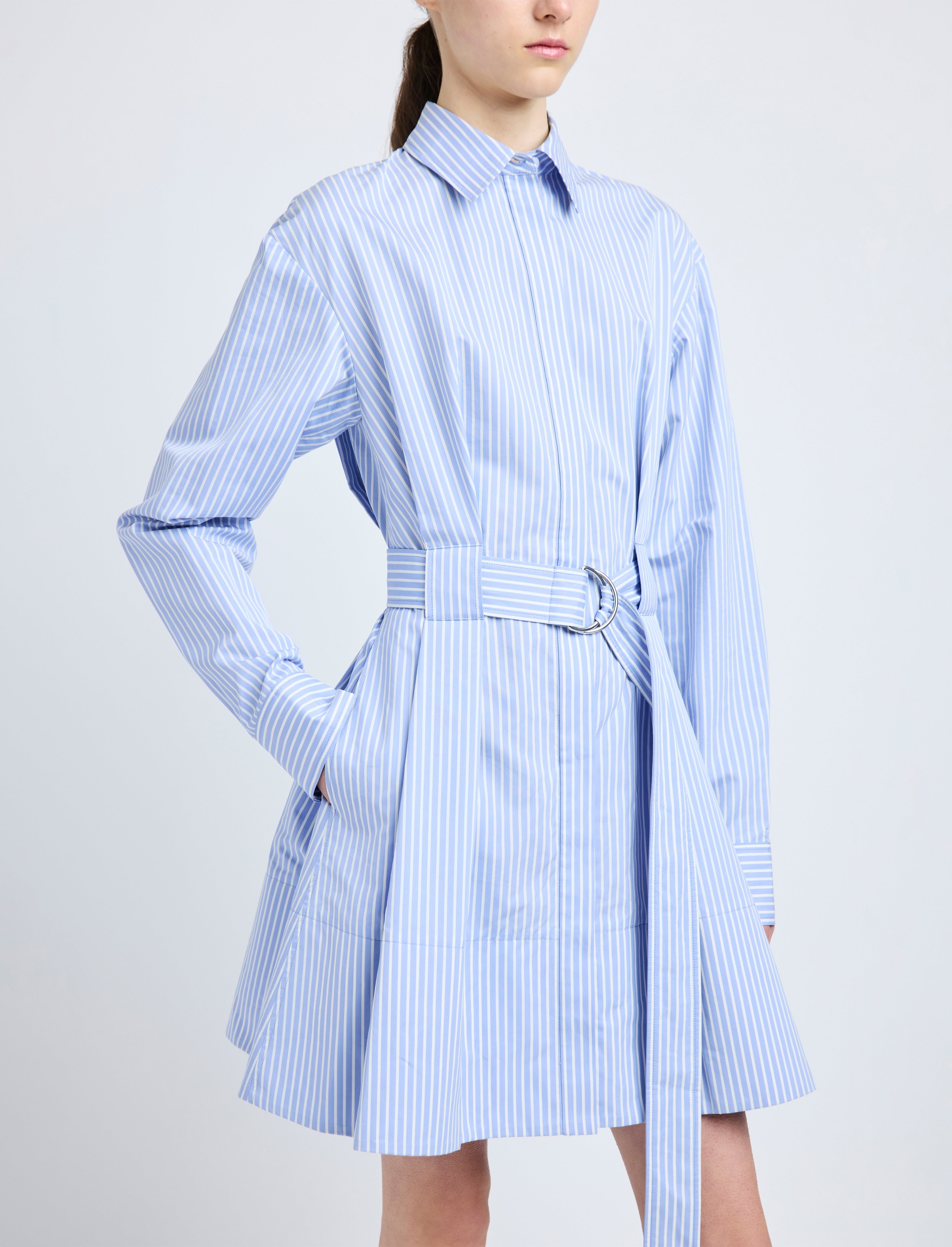 Viola Dress in Stripe Cotton Silk Poplin - 5